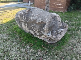 草地上的巨大石头