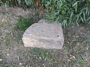 野外的一块灰色石块