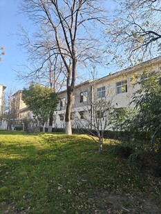 阳光照耀下的宁静居民楼