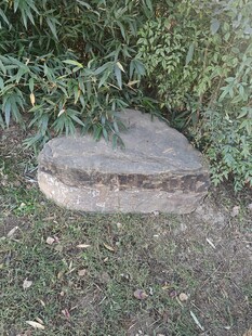 户外草丛中的石质物件