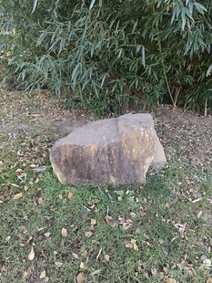 户外草地中的一块大石头