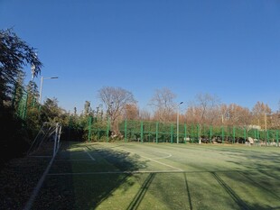 户外开阔草地与围栏景观