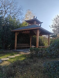 林间木质凉亭静谧景致