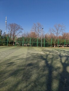 户外空旷场地与树木景观