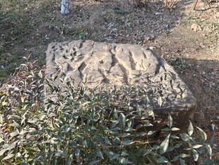 古老石雕静卧绿植之中