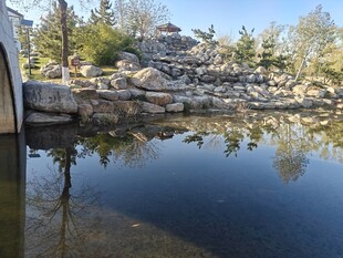 宁静湖畔的自然景致