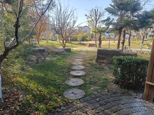 林间石径冬日静谧景致