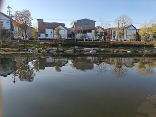 宁静水乡村落湖畔景致