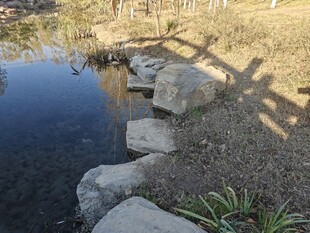 池塘边的石径与光影景色