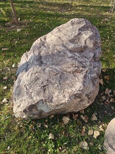 草地上的灰色大石头