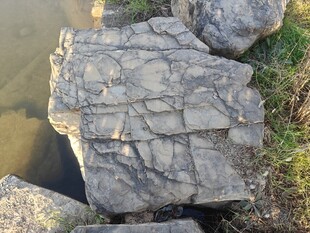 河边纹理独特的灰色岩石