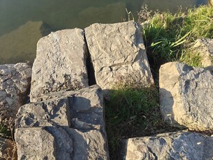 河边堆砌的灰色石块