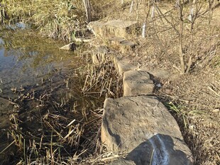 溪边石块与枯黄草木景观