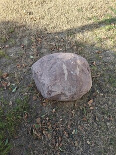 户外草地上的一块石头