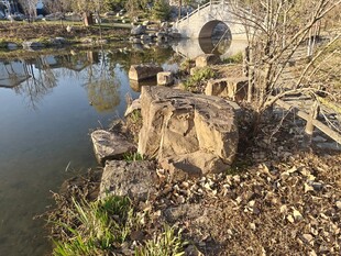 湖畔石景 自然野趣风光