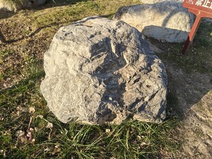 户外草地上的一块大石头