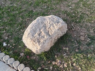 草地上的一块大石头