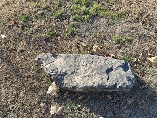 野外的一块灰色石头