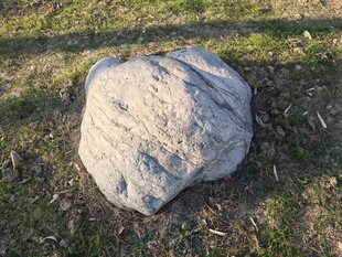 户外草地中的灰色大石头