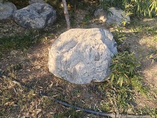 阳光下的草地巨石