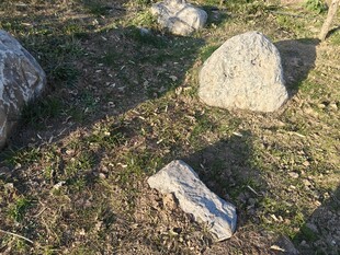 草地上的散落石块