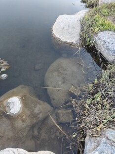 溪边静卧的圆润石头