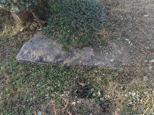 户外绿植旁的石板地面