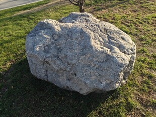 草地上的巨大灰色石头