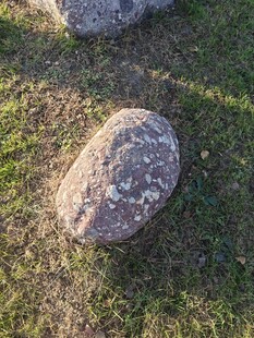 草地上的椭圆石头