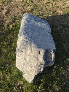 草地上的灰色大石头