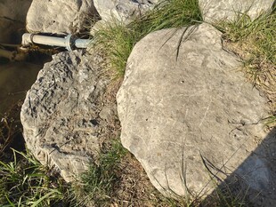 户外大石周边杂草点缀