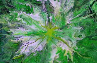 多彩斑斓的植物叶片特写