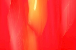 红色 变抽象背景图