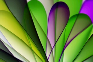 多彩抽象叶片图案