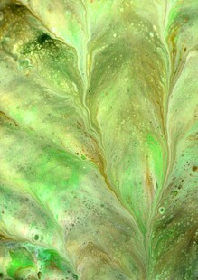 翠绿叶片上的晶莹水珠