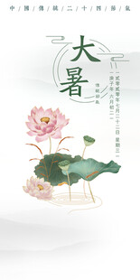 大暑时节荷花绽放图