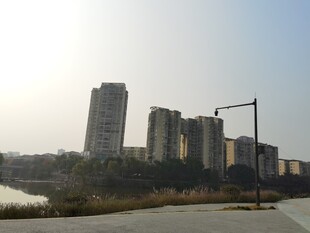 城市河畔高楼风景