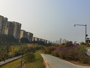 城郊小路旁的林立高楼