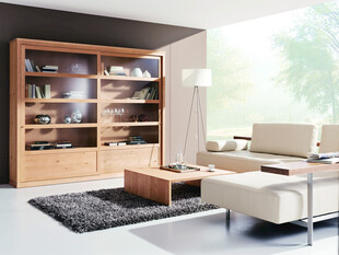 现代简约风格客厅书柜布置