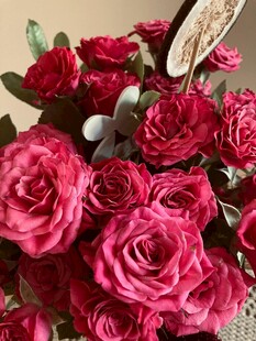 娇艳红玫瑰插花特写