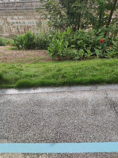 户外草地旁的碎石路面