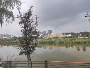 湖畔风景阴天下的宁静景致