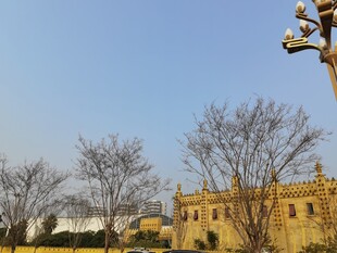 欧式建筑旁的独特路灯景观