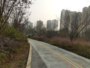 城市旁的静谧步道