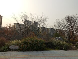 城市冬日户外景观一角