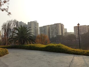 城市公园中的宁静小道