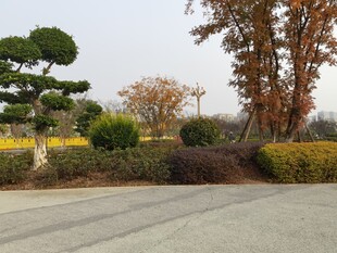 秋日园林景观道路一角