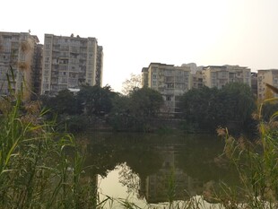 湖畔住宅区风景