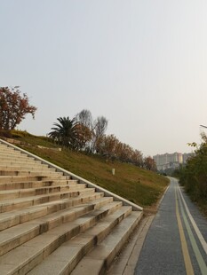 户外台阶旁的道路与风景