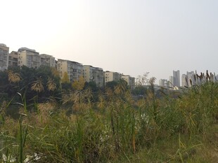 城郊田野旁的建筑物